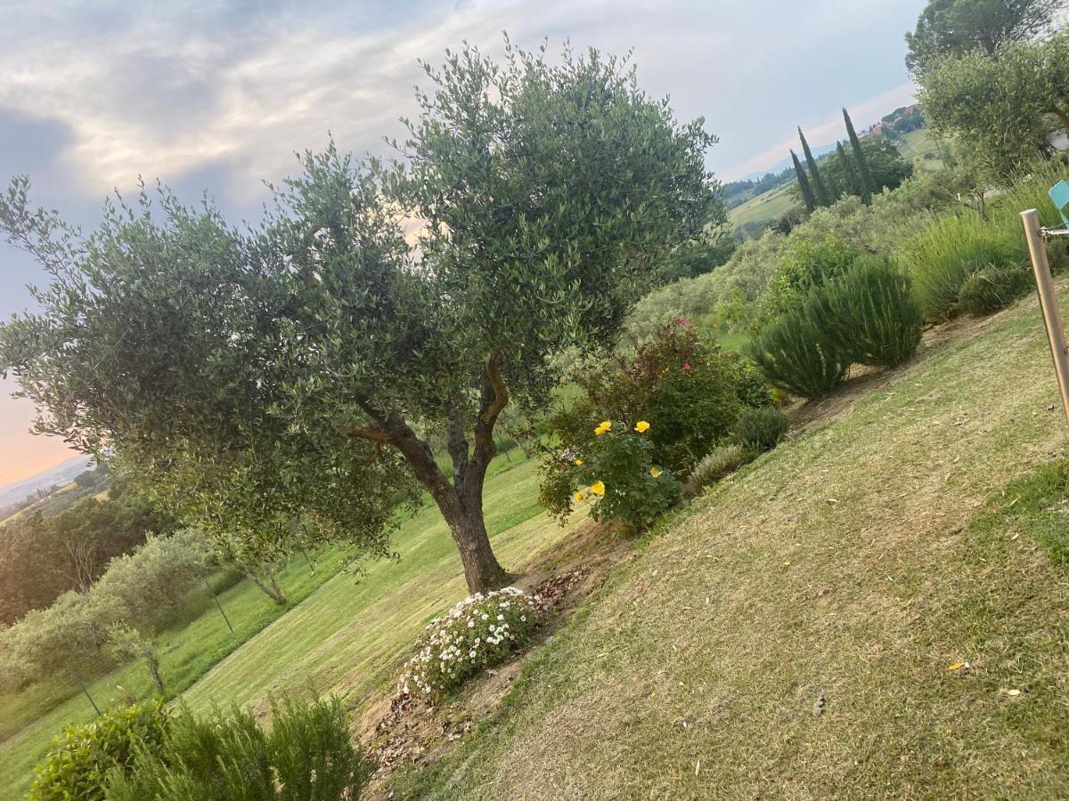 Agriturismo Palazzo Val Del Sasso Villastrada  Buitenkant foto
