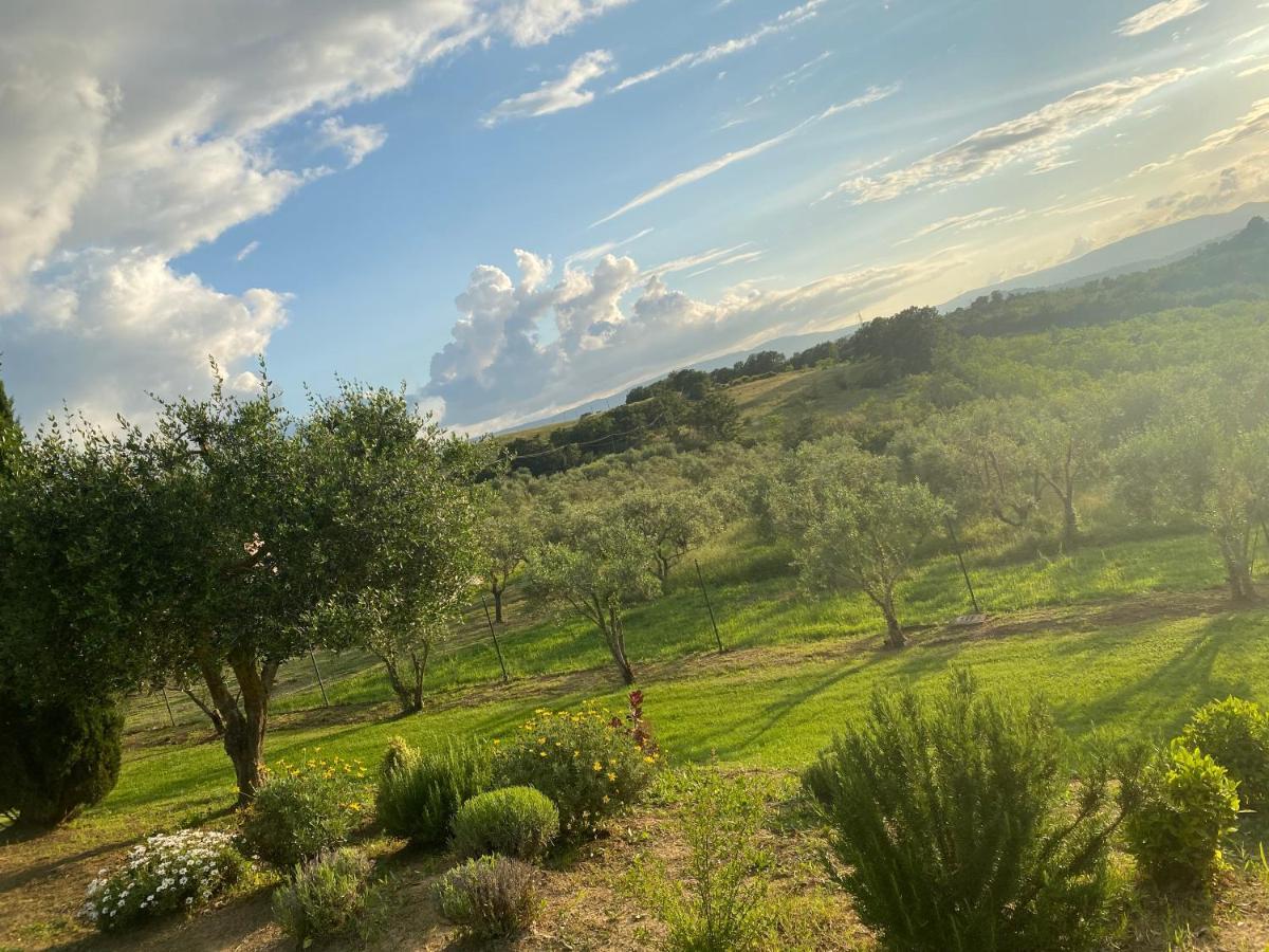 Agriturismo Palazzo Val Del Sasso Villastrada  Buitenkant foto